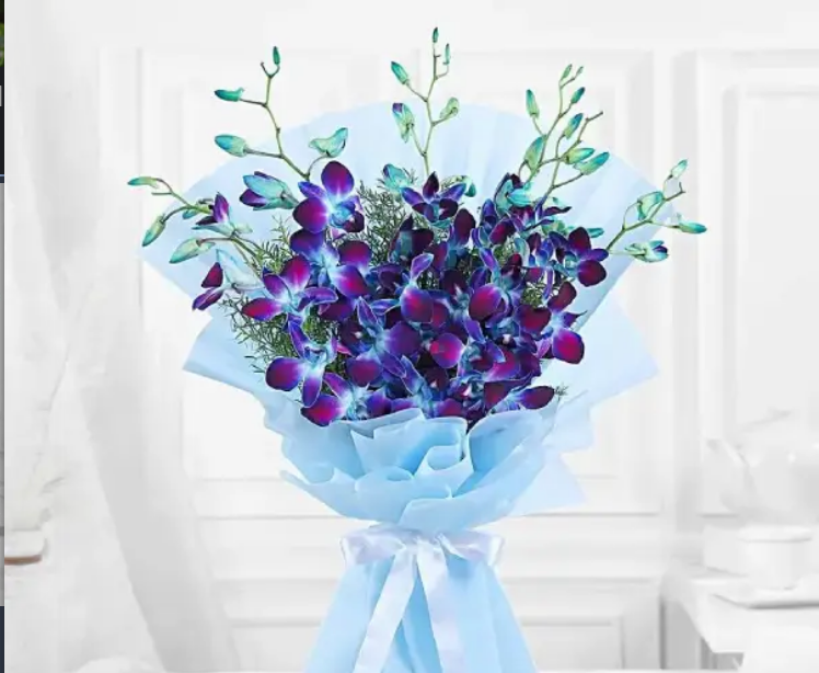 Orchids